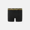 Bedruckte lange Boxershorts aus Baumwolljersey