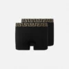 Greca Border Long Trunks 2er-Pack